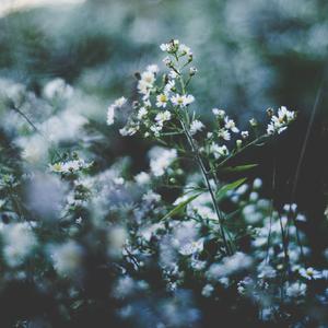 欧美人狂配大交3D
